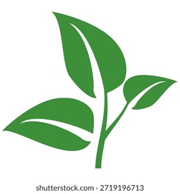 Ícone de folha verde em estilo plano, sobre fundo branco. ícone de folha definido. ícone natureza, ilustração de vetor folha.