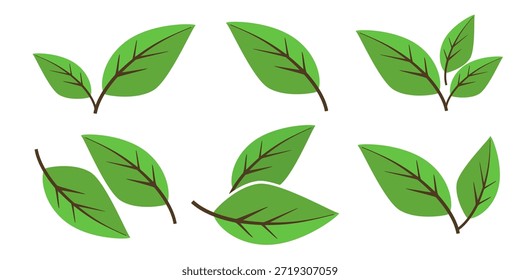 Ícone de folha verde em estilo plano, sobre fundo branco. ícone de folha definido. ícone natureza, ilustração de vetor folha.