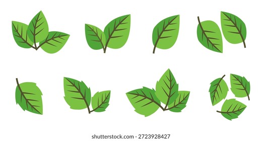 Grünes Blattsymbol im flachen Stil auf weißem Hintergrund. Blatt-Symbolsatz. Natursymbol, Blatt-Vektorgrafik.
