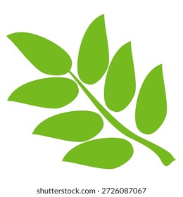 Grünes Blattsymbol im flachen Stil auf weißem Hintergrund. Blatt-Symbolsatz. Natursymbol, Blatt-Vektorgrafik.