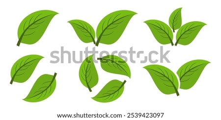 Green leaf icon in flat style, on white background. leaf icon set. nature icon, leaf vector illustration.