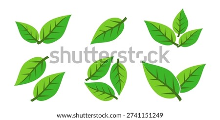 Green leaf icon in flat style, on white background. leaf icon set. nature icon, leaf vector illustration.