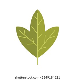Green leaf icon flat vector. Forest leaves. Autumn fall isolated