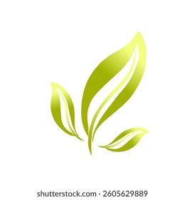 green leaf icon illustration without background