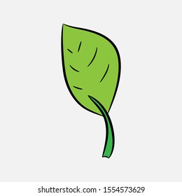 Green Leaf Icon isolated on white bakground