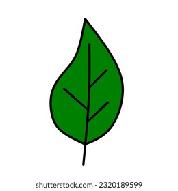 green leaf icon isolated on white background