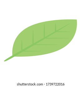 Green leaf icon. Isometric of green leaf vector icon for web design isolated on white background