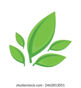 Green leaf icon. Leaves, Bio plant and tree floral forest concept.