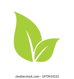 Green Leaf icon logo illustration sign