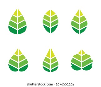 Green Leaf icon logo , isolated on white background