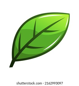 plantilla de logotipo de icono de hoja verde para diseño de negocio