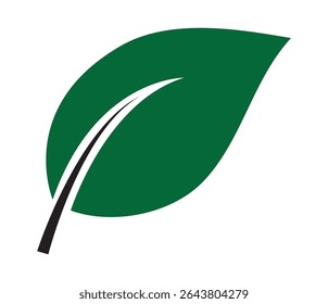 Green leaf icon. Green natural leaf drawing, vector. Green leaf icon in flat style, on white background. Vector illustration.
