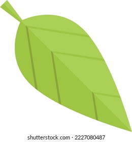 Icono de la hoja verde. Símbolo de planta de manantial natural