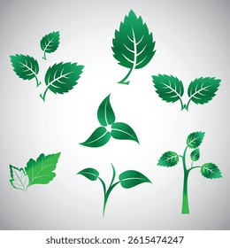 Green leaf icon, green nature, eps 10