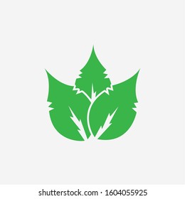 Green Leaf Icon On White Background - Elements For Eco and Bio Logos