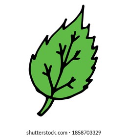 Green-Blatt-Symbol auf weißem Hintergrund. Logo im Internet.