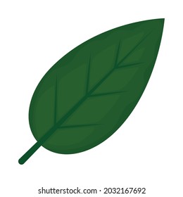 green leaf icon on white background