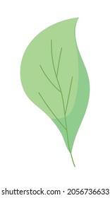 green leaf icon on white background