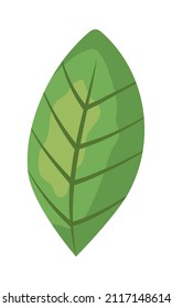 icono de hoja verde sobre fondo blanco