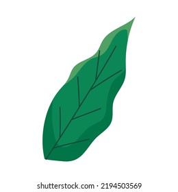 green leaf icon on white background