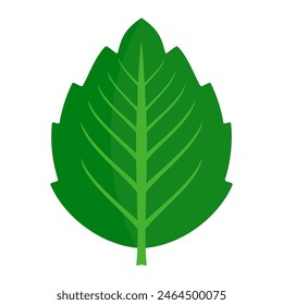 Icono de hoja verde. Icono de hoja sobre fondo blanco. Colección de ilustraciones de hojas. Diseño de elementos para etiquetas biológicas naturales, ecológicas y de reciclaje.