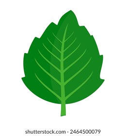 Green leaf icon. Leaf icon on white background. Collection of leaf illustrations. Element design for natural, eco-friendly, recycling bio labels.