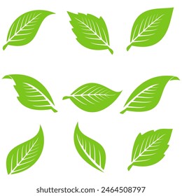 Green leaf icon. Leaf icon on white background. Collection of leaf illustrations. Element design for natural, eco-friendly, recycling bio labels.