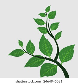 Green leaf icon. Leaf icon on white background. Collection of leaf illustrations. Element design for natural, eco-friendly, recycling bio labels.