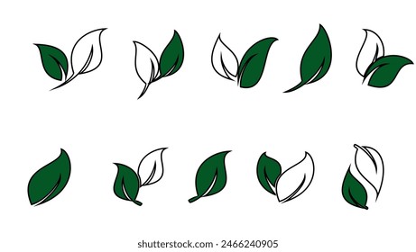 Green leaf icon. Leaf icon on white background. Collection of leaf illustrations. Element design for natural, eco-friendly, recycling bio labels.