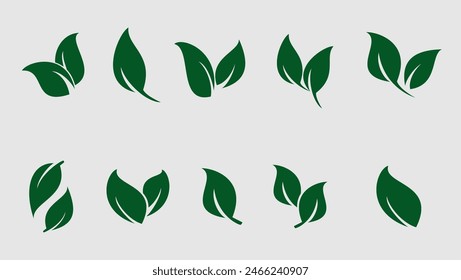 Green leaf icon. Leaf icon on white background. Collection of leaf illustrations. Element design for natural, eco-friendly, recycling bio labels.