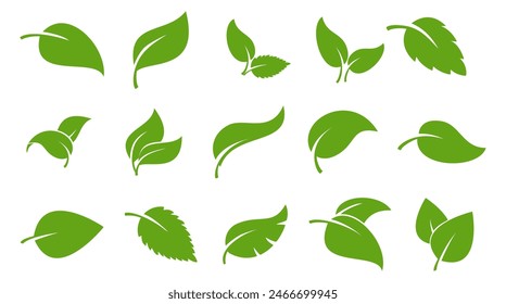 
Green leaf icon. Leaf icon on white background isolated background. Collection of green leaves. Design for natural, eco-friendly and environmental bio labels