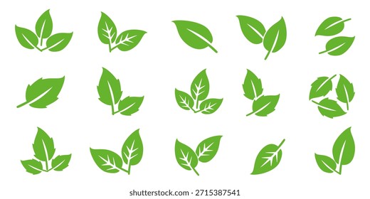 Icono de hoja verde. Icono de la hoja en el fondo blanco. Colección de ilustraciones de hojas. Diseño de elementos para etiquetas biológicas naturales, ecológicas y de reciclaje.