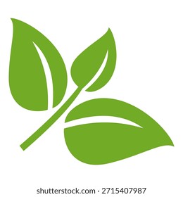 Ícone de folha verde. Ícone de folha no fundo branco. Coleção de ilustrações de folha. Elemento de design para natural, eco-friendly, reciclagem de rótulos biológicos.