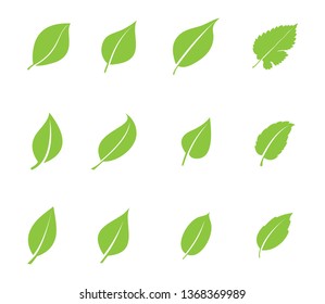 green leaf icon set,  ecology nature element vector set