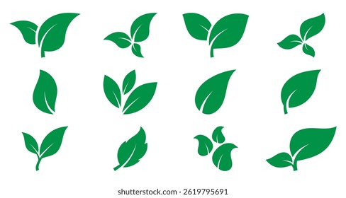 Green leaf icon set. Isolated green leaf symbols for use in sustainable and vegan product labels. High quality EPS 10 vector design illustration.
