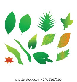 Green leaf icon set. Leaves icon on isolated background. Collection of green leaves. Elements designed for natural, eco, and vector illustration 