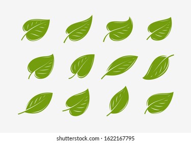 Green leaf icon set. Natural, organic logo or symbol vector