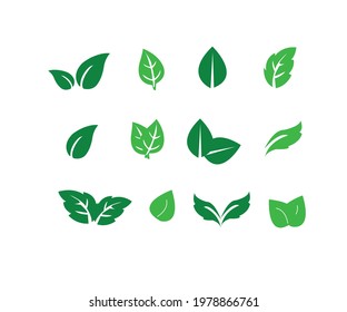 green leaf icon set on white background