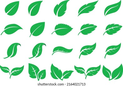 green leaf icon set on a white background