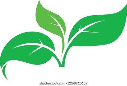 green leaf icon set on a white background.elegant nature leaf pattern design, banana leaf line art, hand drawn outline design for fabric, print, 
cover, banner and invitation, vector icon illustration - Shutterstock ID 2268910159