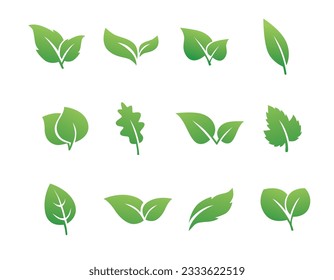 green leaf icon set on white background