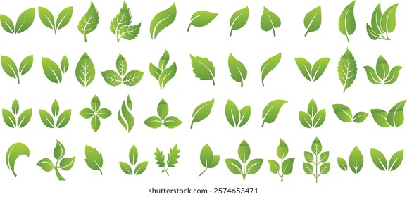 green leaf icon set on a white background
