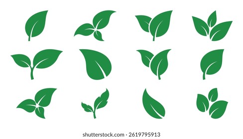 Green leaf icon set vector illustration isolated on white background.