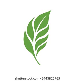 Green Leaf icon shape fresh flat vector design.