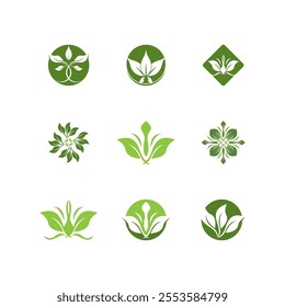Green Leaf icon and Symbol Vector Template Illustration