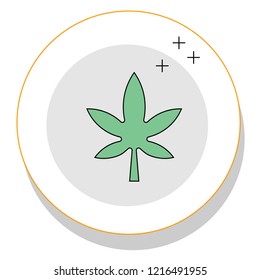 green leaf icon trendy icon on white background for web graphic