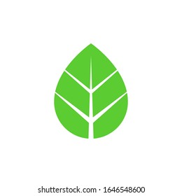 green leaf icon using line style. clean and modern business logo identity vector design