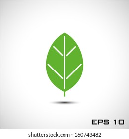 Green leaf icon vector