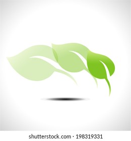 Green leaf icon vector