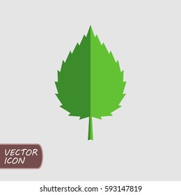 Green leaf icon vector